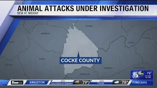 Cocke County deputies investigating two fatal animal attacks