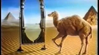 Camel Zigarettenwerbung