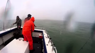 Lightning Strike Fisherman