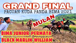 GRAND FINAL | Kelas THB, Tunas A, Tunas B, Tunas C dan Dewasa A | Pacuan Kuda Panda Bima #racehorse