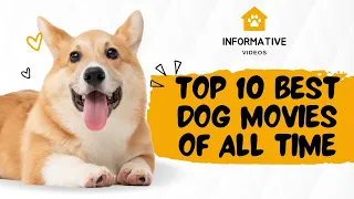 Top 10 Best Dog Movies Of All Time