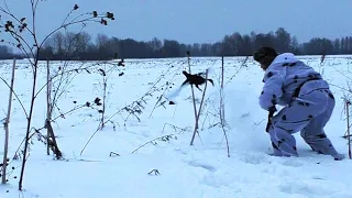 ШИКАРНАЯ ОХОТА НА ТЕТЕРЕВА НА ЛУНКАХ. НЕВЕРОЯТНОЕ ТЕРПЕНИЕ КОСАЧА ВПЕЧАТЛЯЕТ...