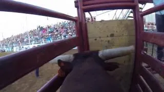 Bull Rider POV