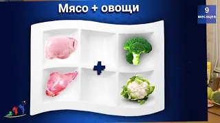 Меню ребенка в 9 месяцев, что давать в прикорм? Ответы профессора педиатрии Сергея Няньковского