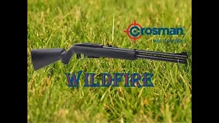 Обзор Review Crosman Benjamin Wildfire PCP Rifle Cal.4.5mm.