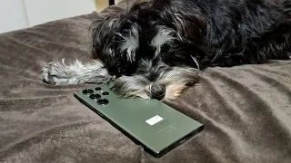 Unboxing Samsung Galaxy S23 Ultra with my Miniature Schnauzer