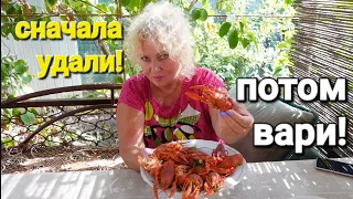 ОДЕССА ❤️ МНОГИЕ НЕ ЗНАЮТ КАК ВАРИТЬ РАКИ❗️МОРЕ ПЛЯЖ В КОНЦЕ СЕНТЯБРЯ❗️ЧЕРНОМОРСКИЙ САРГАН❗️