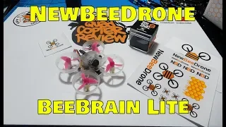 BeeBrain Lite by NewBeeDrone - Review | Build | Flight Test