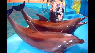 Дельфинарий НЕМО Dolphinarium NEMO ШОУ ДЕЛЬФИНОВ