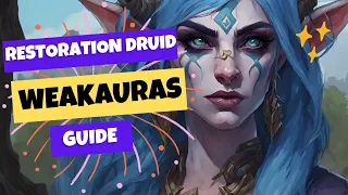 Resto Druid Weakauras Guide | Boost Your Awareness in Mythic Plus