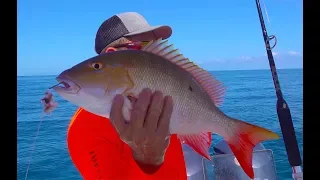 WHOLE SNAPPER {Catch Clean Cook} Island style Tasty Tuesday