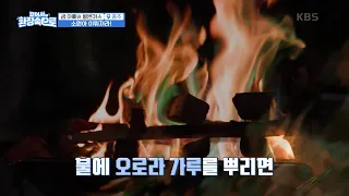 역시 캠핑장의 하이라이트는 캠프파이어! 불멍 시간! 그런데 벤틀리의 고집 오픈! [걸어서 환장 속으로] | KBS 230709 방송