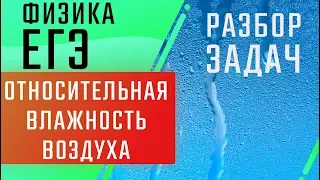 Относительная влажность воздуха | Разбор задач | ЕГЭ Физика | Николай Ньютон | ТЕХНОСКУЛ