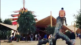 Boom Festival 2018 Pedro Mardins at chill out gardens