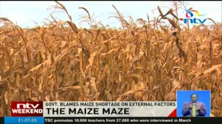 Billions set aside for maize farming with no yield