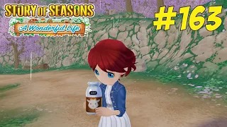 Story of Seasons: A Wonderful Life - Walkthrough #163