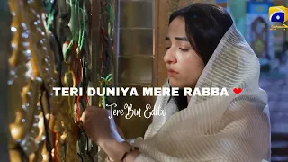 Terebin Vm | Teri Duniya Mere Rabba  | Meerasim Vm | TereBin Editx