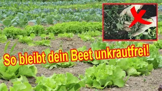 So bleibt dein Beet unkrautfrei - Gemüsegarten unkrautfrei halten – Unkraut im Gemüsebeet vermeiden