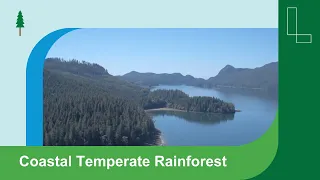 View from A Canoe: Exploring the World’s Largest Coastal Temperate Rainforest