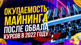 Окупаемость майнинга в феврале 2022 года. Стоит ли собирать майнинг ферму и входить в майнинг