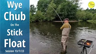 Big Wye Chub On The Float - Fishing A New Stretch - Fast Water Trotting - 13/7/23 (Video 419)