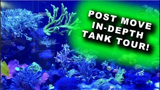 Post Move Tank Tour! In-depth Look!