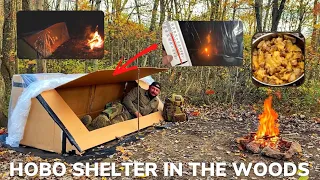 Solo Overnight Building a Cardboard Shelter In The Woods and Hobo Stew