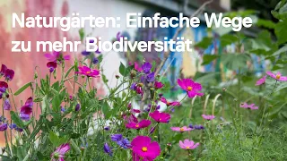 Naturgärten: Einfache Wege zu mehr Biodiversität