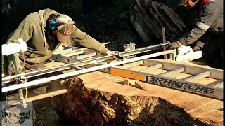 Cutting the most beautiful Burl Tree with the Alaskan Chainsaw Mill