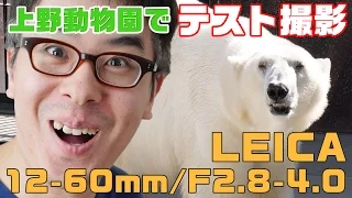 上野動物園でテスト撮影してきました！Panasonic LEICA DG VARIO-ELMARIT 12-60mm/F2.8-4.0