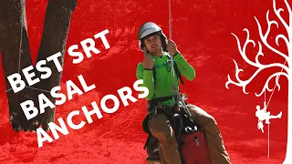 3 Best Basal Anchors | the BEST ways to anchor SRT access line around base of tree | arborist review