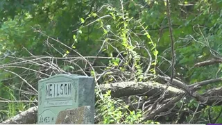 South Memphis residents say overgrown Rose Hill Cemetery prevents them from visiting loved ones