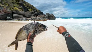 Spearfishing from my Van, camping Esperance DARE! Go’s wrong! Ep..22