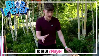 Make a Dreamcatcher with Adam! | Blue Peter | CBBC