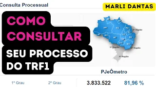 COMO CONSULTAR MEU PROCESSO NO TRF? PASSO A PASSO COM DETALHES SOBRE COMO É UM PROCESSO