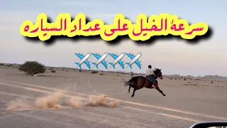 قفزة الخيل خمسه أمتار بسبب⁉️😨مقارنه بين سرعة رُمان وكحيلان على عداد السياره😍👏🏻🐎