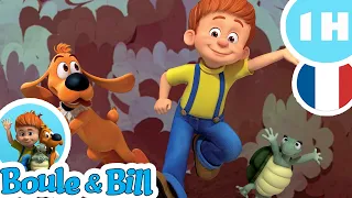 🐶Boule et Bill à l'aventure!🧑🏼‍🦰 - Nouvelle Compilation FR