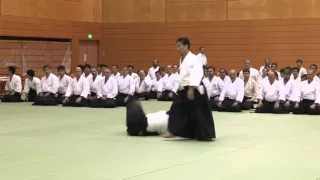 Japan - 11th International Aikido Federation Congress in Tokyo - Demonstrations