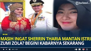 Masih Ingat Sherrin Tharia Mantan Istri Zumi Zola? Jualan Kue Usai Menjanda, Begini Kabarnya