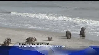 Effects of ocean dredging