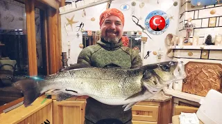 Şimdiye kadar zıpkınla avlayıp rekorumu egale ettiğim en büyük"Trofe"Levrek avı  #levrekavı #seabass