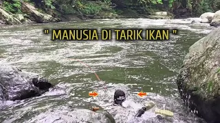 TOLONG-TOLONG !! DAHSYAT TARIKANNYA SAMPAI SAYA DI TARIK KE SUNGAI