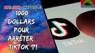 UNE ENTREPRISE PROPOSE UNE DÉSINTOXICATION DE TIKTOK ?!