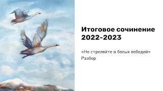 ИТОГОВОЕ СОЧИНЕНИЕ 2022-2023 | Б. Васильев "Не стреляйте в белых лебедей" | Полный разбор