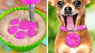 Cute DIYs And Hacks For Pet Lovers 🐾 💖