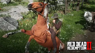 VAMOS DOMAR CAVALOS - Red Dead Redemption 2 - O Domador de Cavalos