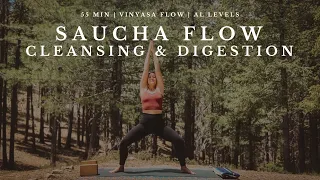 55 Minute Vinyasa Yoga | Saucha: Cleansing the home of the body