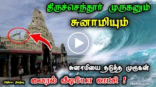 திருச்செந்தூர் முருகனும் , சுனாமியும் !  சுனாமியை தடுத்த முருகன் ! வைரல் வீடியோ காட்சி !