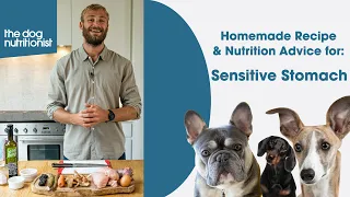 Sensitive Stomachs - Homemade Dog Food Recipe by The Dog Nutritionist