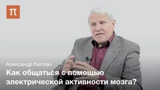 Александр Каплан - Нейроинтерфейс мозг-компьютер